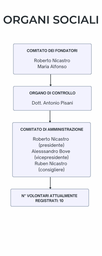 ORGANI SOCIALI